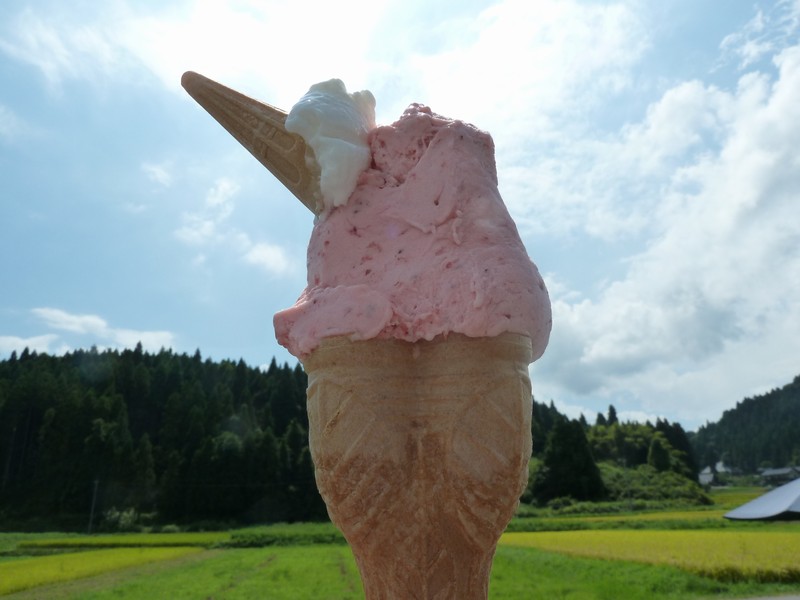 マルガージェラートさんの赤崎いちごのジェラート