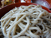 越前蕎麦「しぼり」