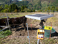 電気の柵はソーラー電池で稼働する