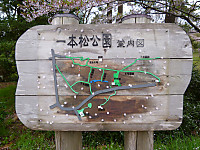 輪島の一本松公園