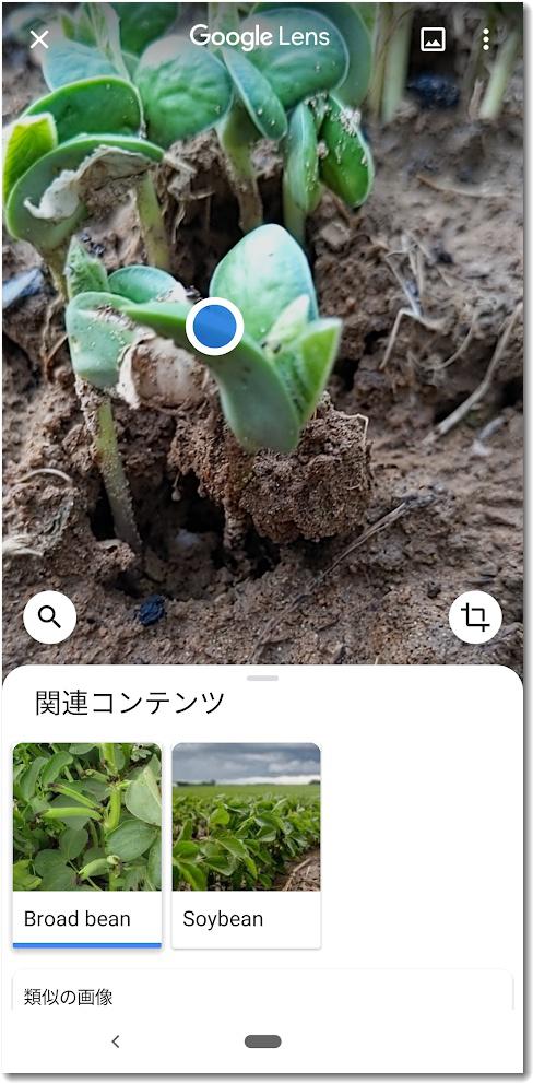 googlelens004.jpg