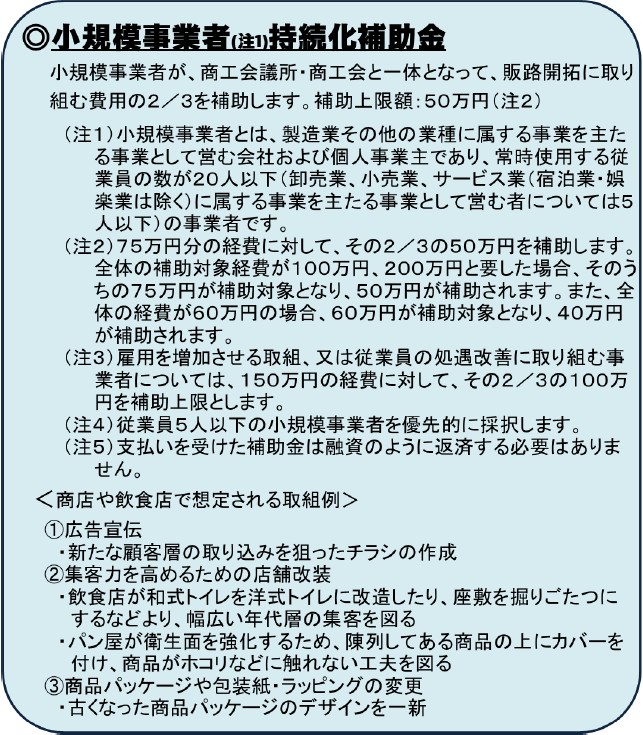 持続化補助金の概要