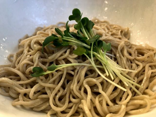 uenoyabusoba.jpg