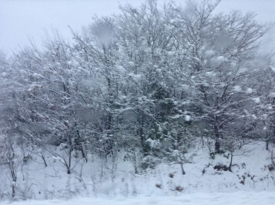 かほく市内の雪