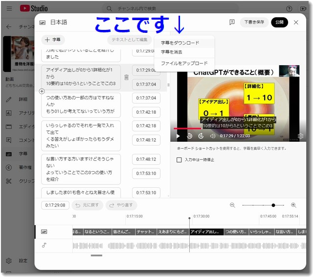 YouTube動画の字幕ファイル